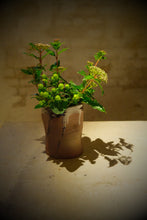 Load image into Gallery viewer, Large Brown Vaze
