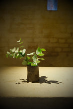 Load image into Gallery viewer, Small Black Chamotte Vaze
