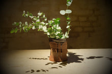 Load image into Gallery viewer, Medium Brown Vaze
